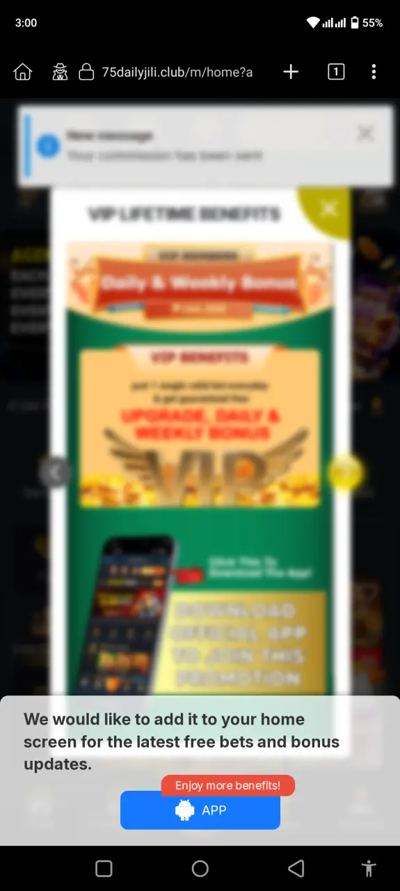 Screenshot_20250203-150056.webp