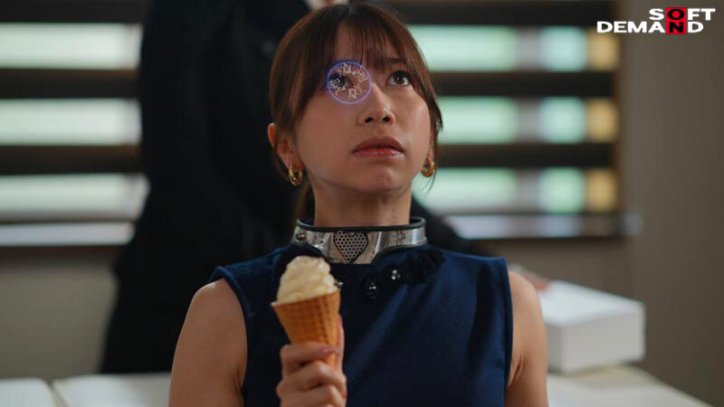 1sdde00739jp-6.jpg
