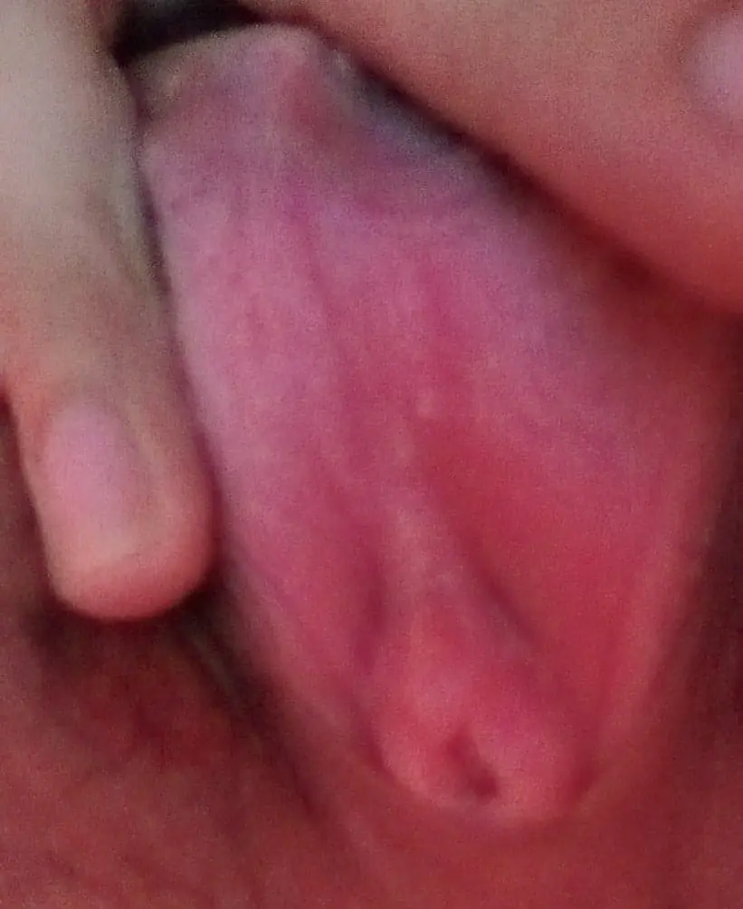 1739886127530.webp