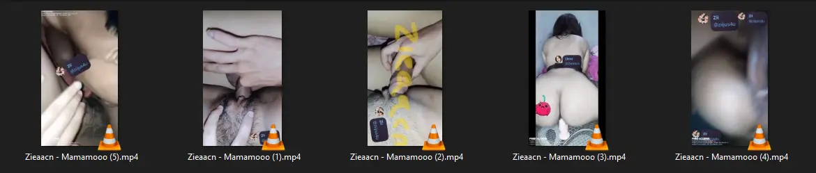 1740233793655.webp