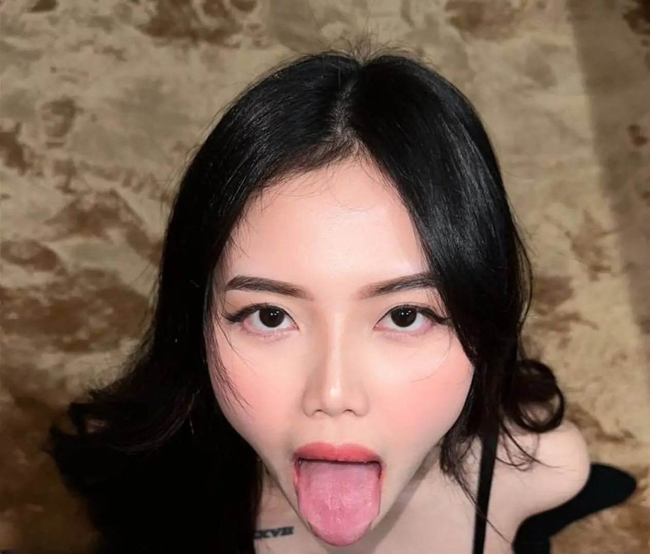 sctanaaa (1).webp