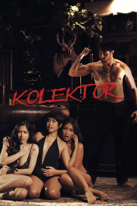Kolektor.jpg.webp