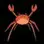 1742360567772.webp