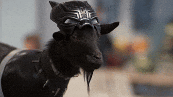 200.gif