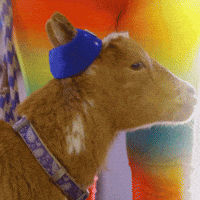 200.gif