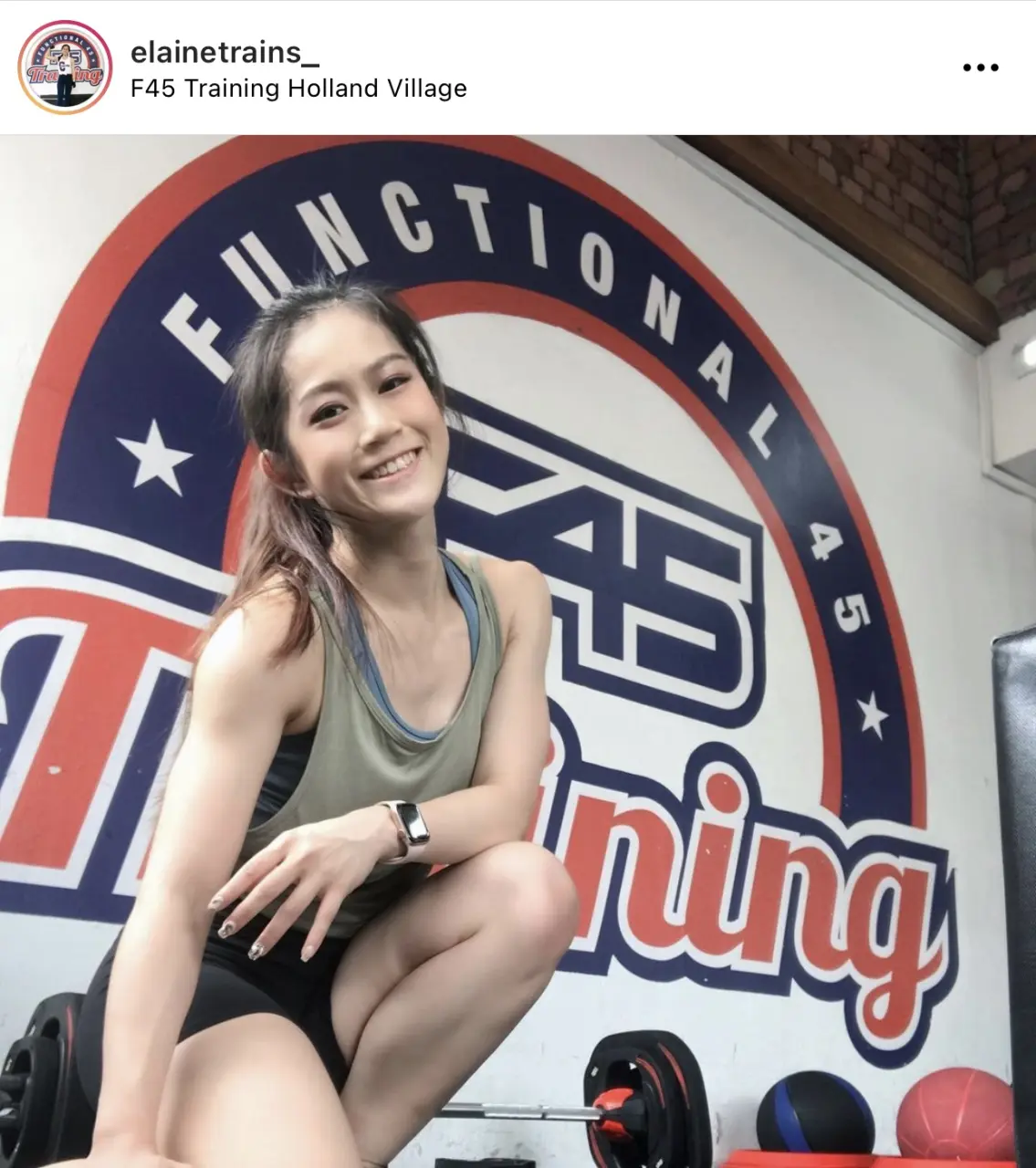 IG_scintillescent_elainetrains_Pic_x.webp