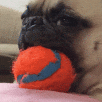200.gif