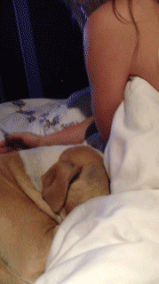 Kaley Cuoco (1).gif