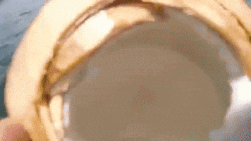200.gif