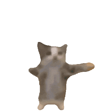 happy-happy-happy-cat.gif