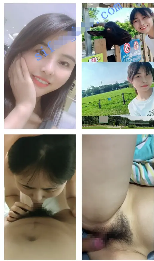 6811deb64c259.webp