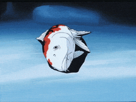200.gif