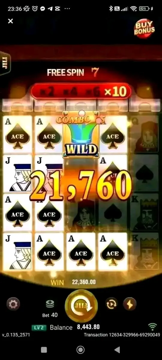 1747202054739.webp