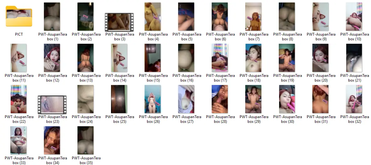 PWT.webp