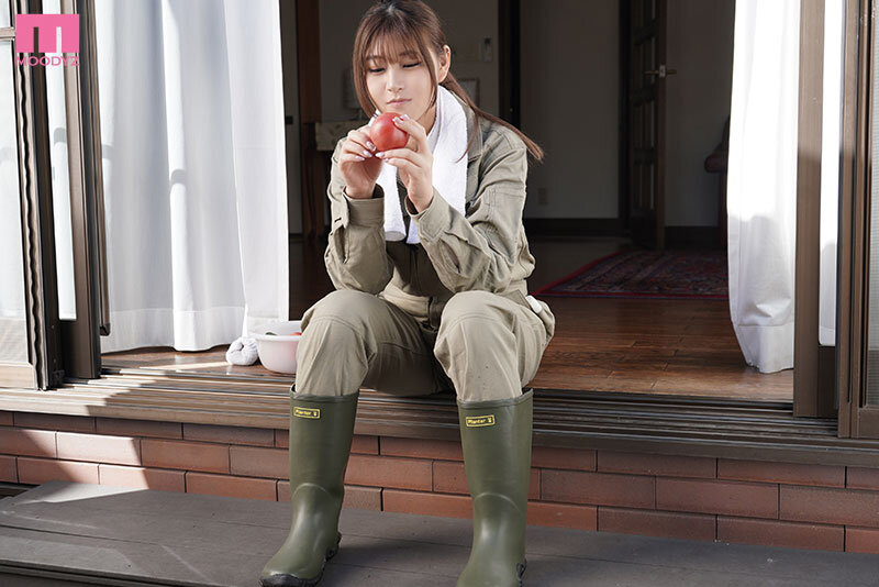 miab00482jp-1.jpg