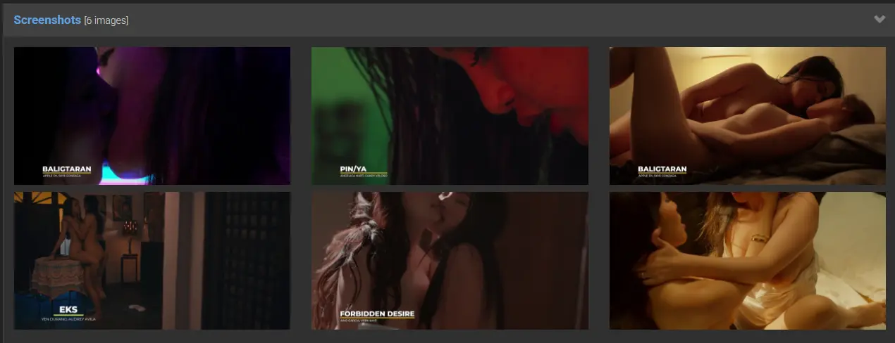 Screenshot 2025-05-21 204135.webp