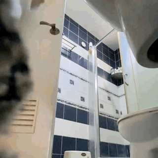 1748258541592.gif