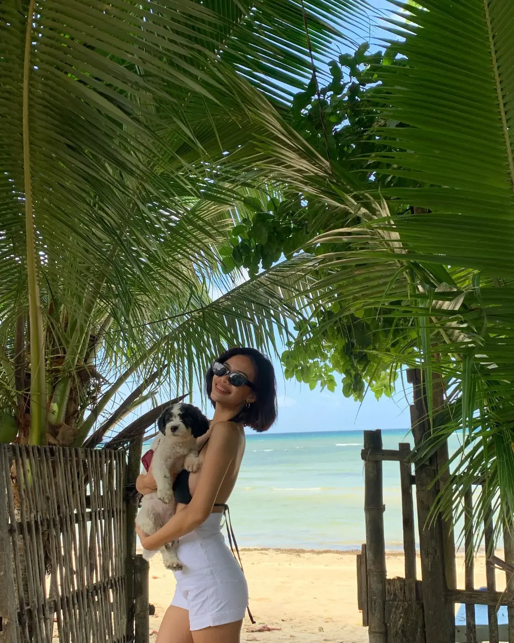 6 (1).webp
