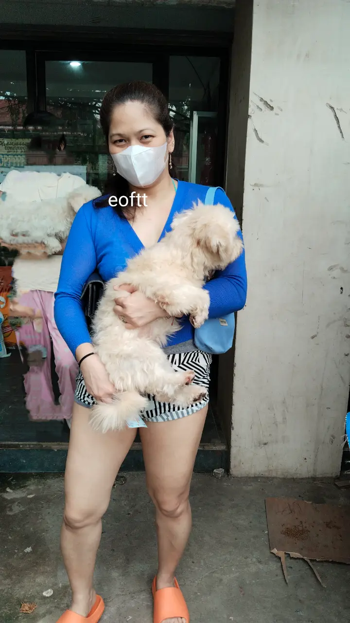 IMG_20250607_070018.webp