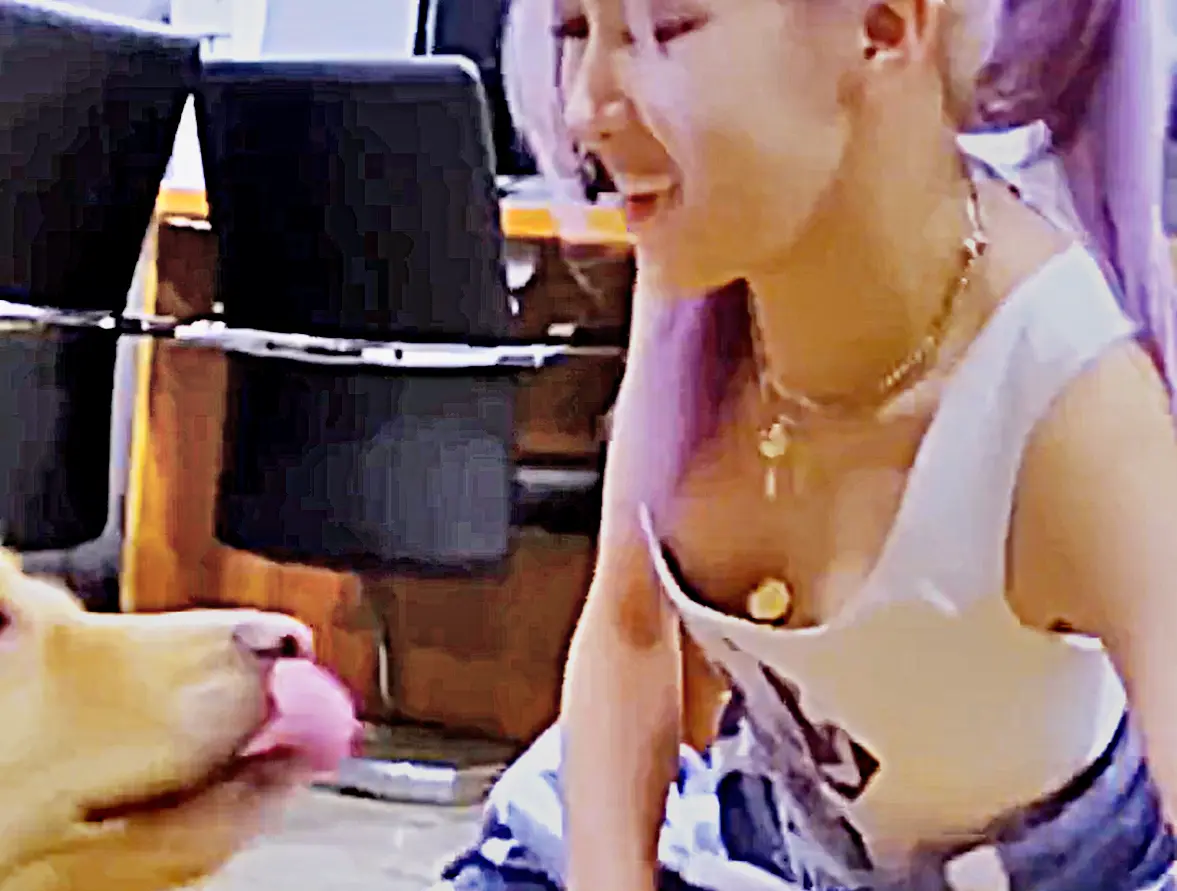 pt4 (1).webp