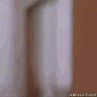 200.gif