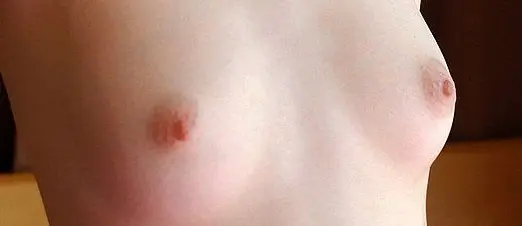 boob.webp