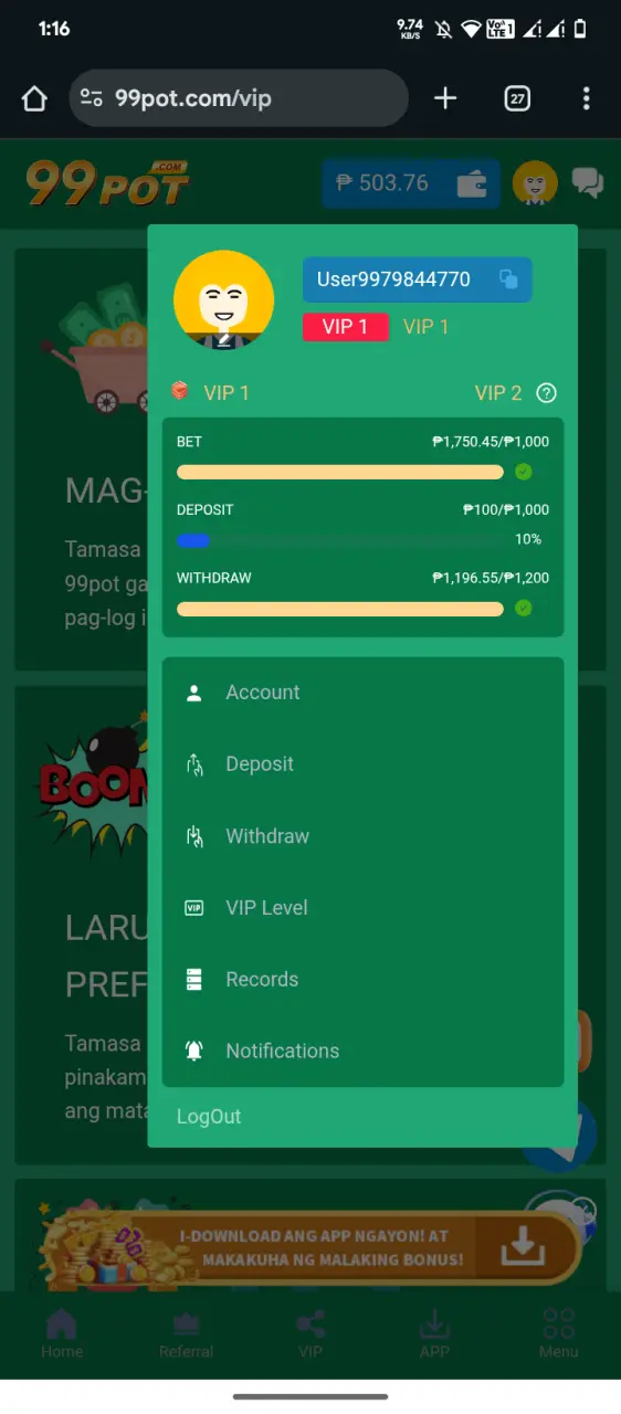 Screenshot_20250621-011619.webp