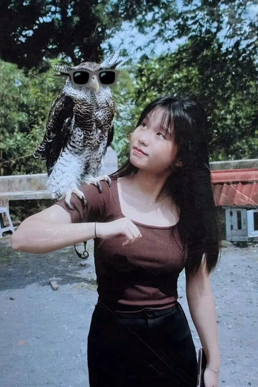 Jeje  (3).webp
