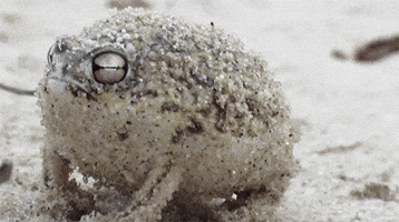 200.gif