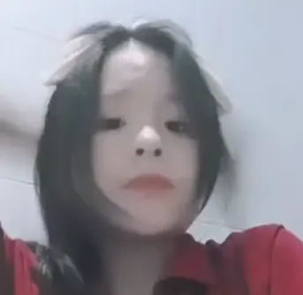 1751000266909.webp