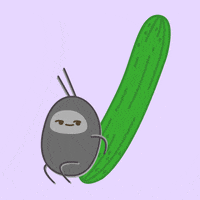 Vegetarian (Rekta)