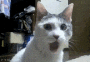 200.gif