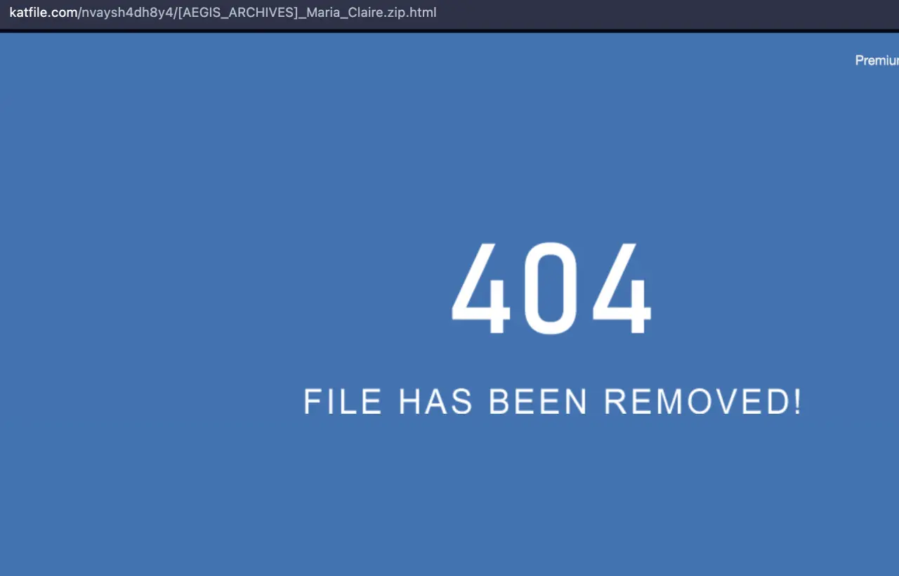 1751297998925.webp