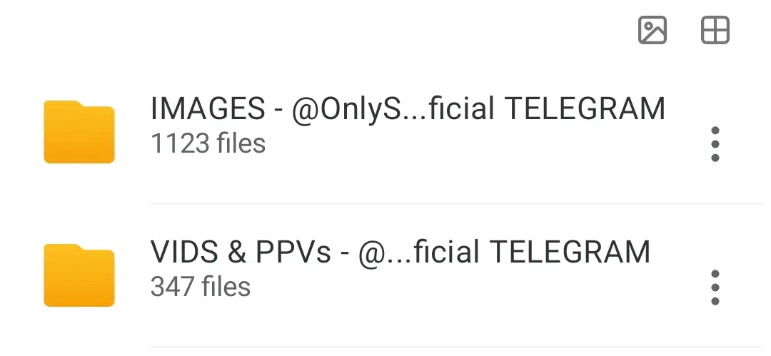 Screenshot_2025-07-07-07-35-39-317-edit_mega.privacy.android.app.webp
