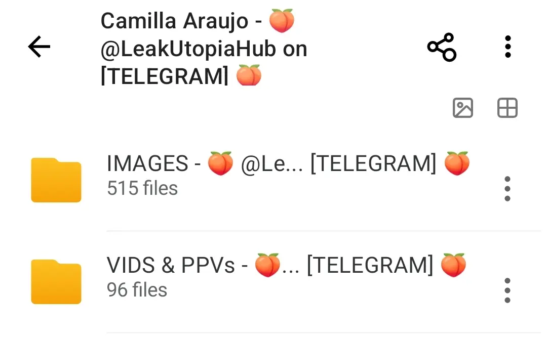 Screenshot_2025-07-07-09-26-47-683-edit_mega.privacy.android.app.webp