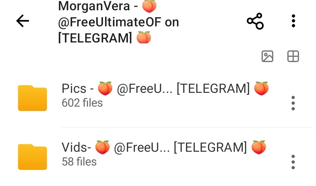 Screenshot_2025-07-07-11-47-29-184-edit_mega.privacy.android.app.webp