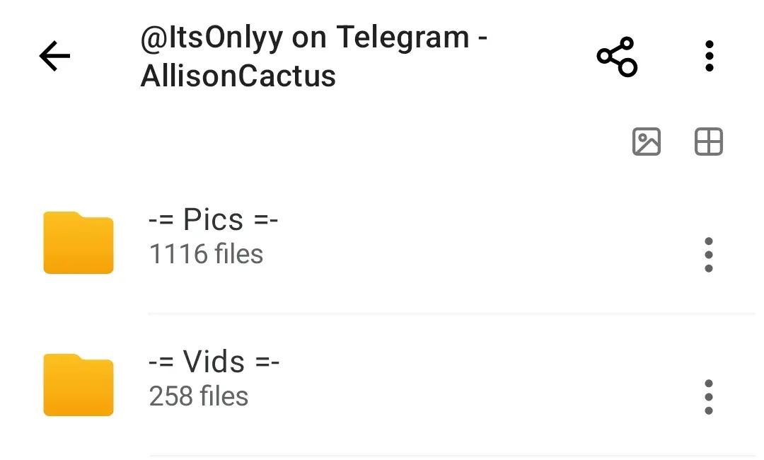 Screenshot_2025-07-08-08-52-44-036-edit_mega.privacy.android.app.webp