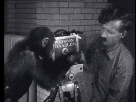 200.gif
