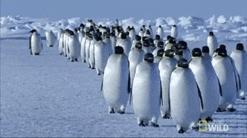 200.gif