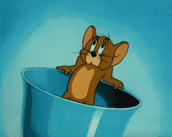 200.gif