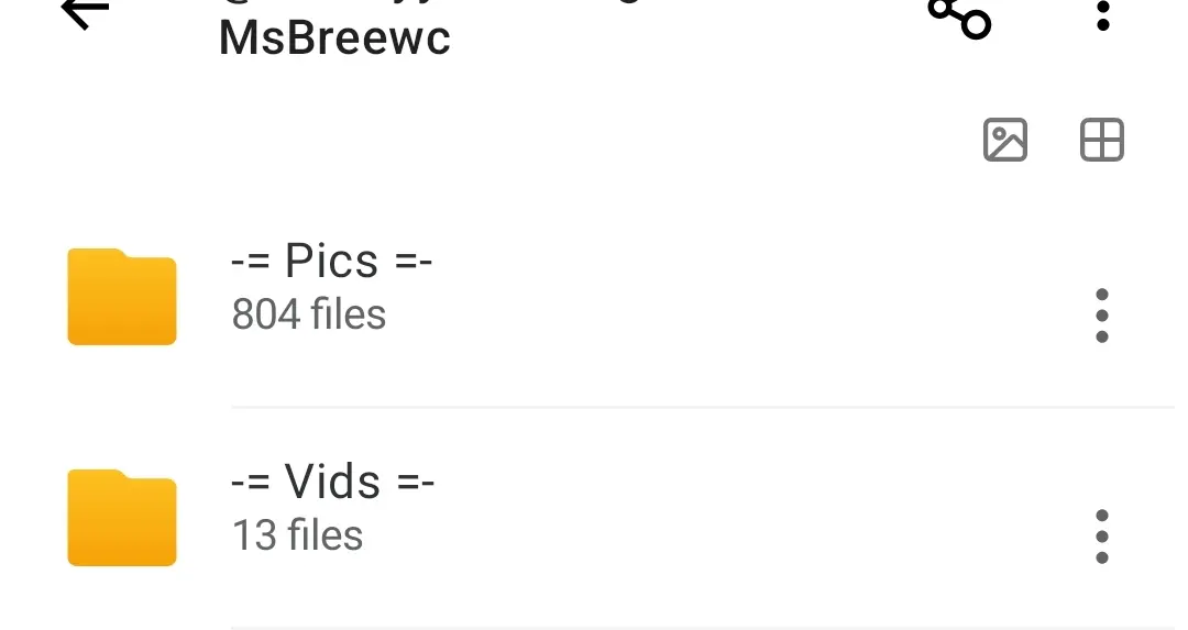 Screenshot_2025-07-10-17-39-18-018-edit_mega.privacy.android.app.webp