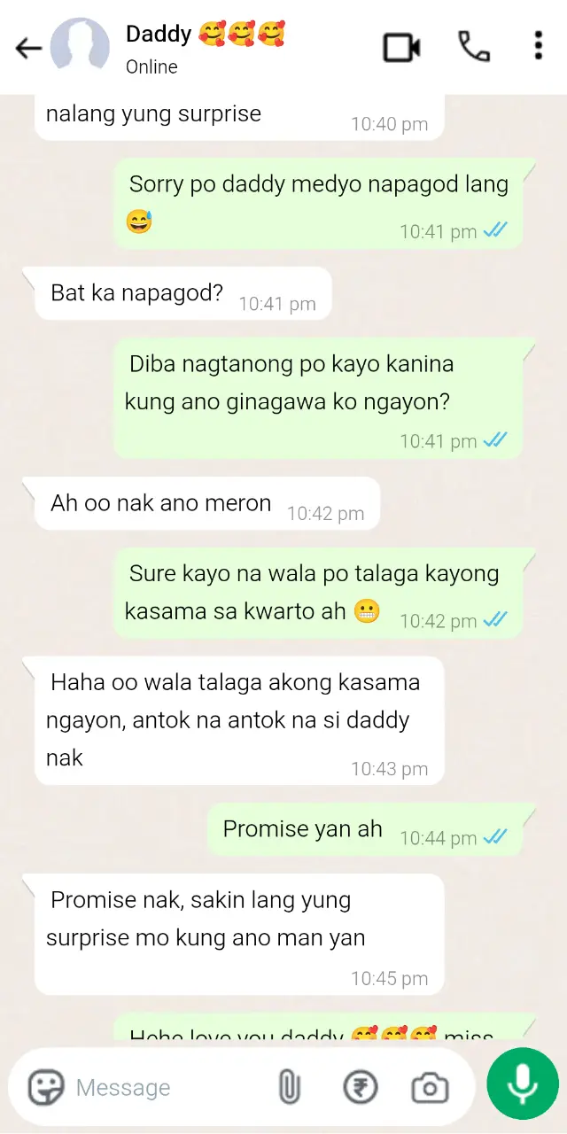 whatsapp_chat (3).webp