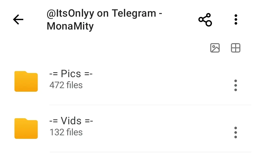 Screenshot_2025-07-20-09-21-28-360-edit_mega.privacy.android.app.webp