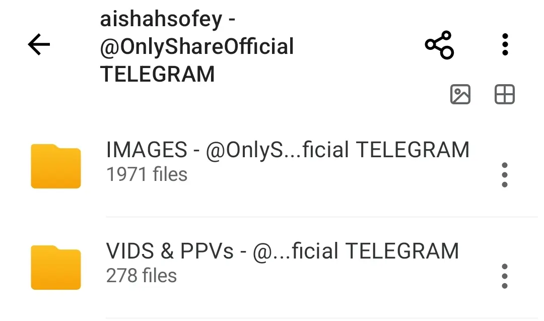 Screenshot_2025-07-21-13-55-24-512-edit_mega.privacy.android.app.webp