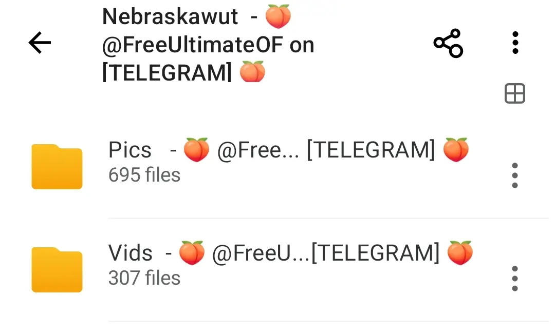 Screenshot_2025-07-23-14-28-28-333-edit_mega.privacy.android.app.webp