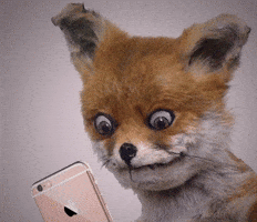 200.gif