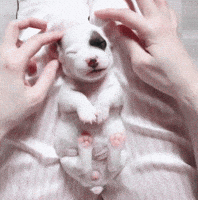 200.gif