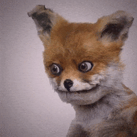 200.gif