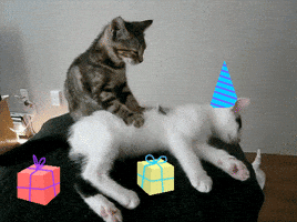 200.gif