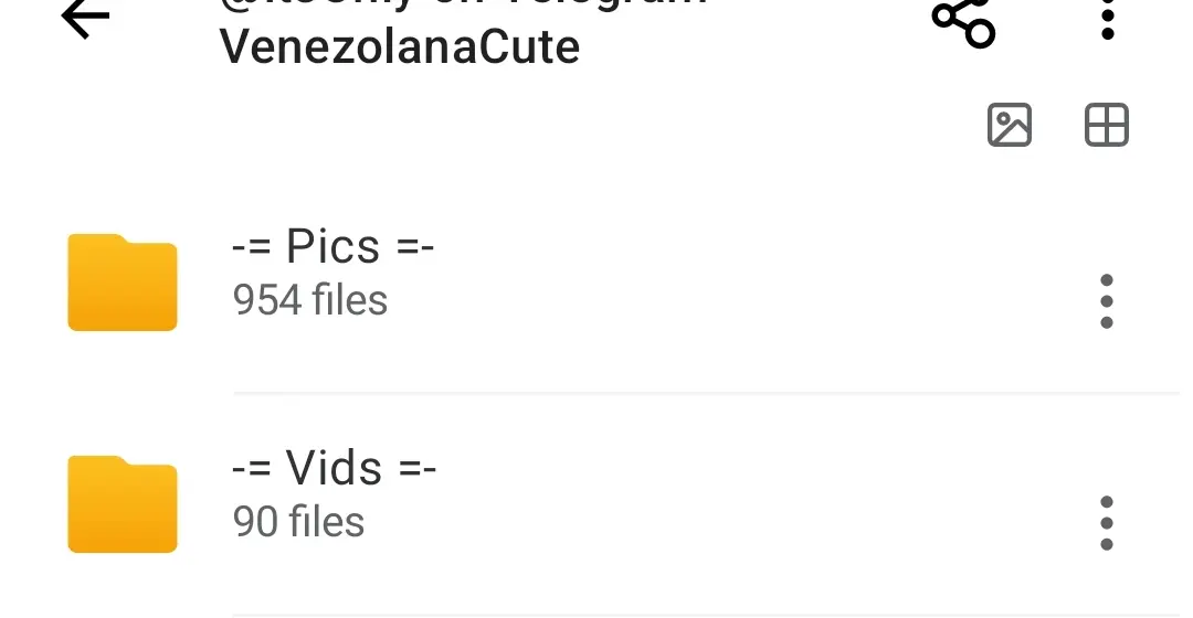 Screenshot_2025-08-10-10-16-03-538-edit_mega.privacy.android.app.webp